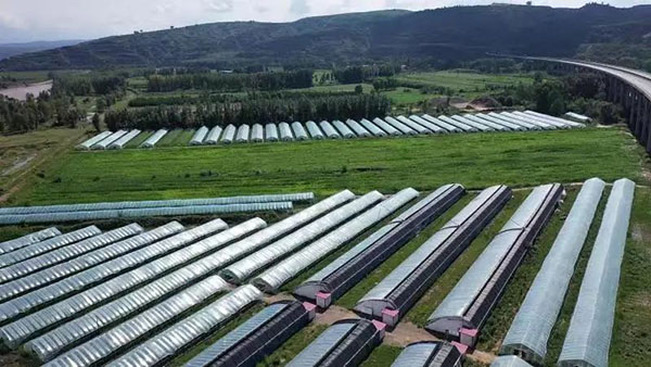 37e1177707cc4008bbe6205dd7dfd238.jpg 图片4.jpg