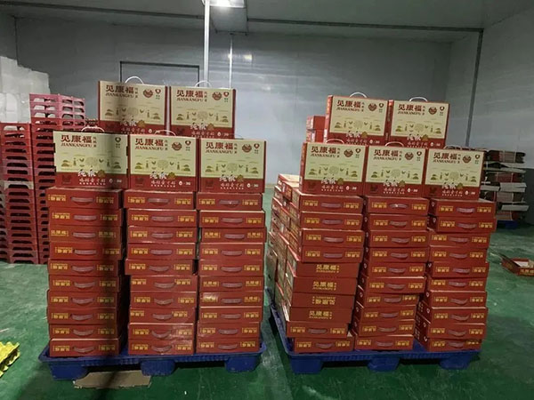 9283f8aca28542269b58d1ebb2ff4a9d.jpg 图片7.jpg