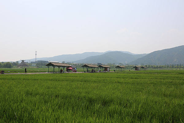 55b549c1e0964dcc9d6444d88bd80f6c.jpg 1.jpg