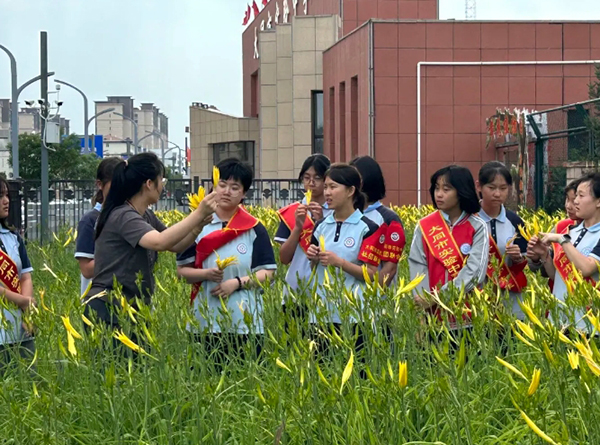微信截图_20240703160453.jpg