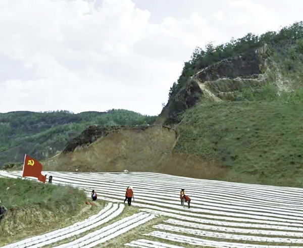 228e1a0a3b3d49b7922ec40732c8292c.jpg 微信图片_20220707184253.jpg