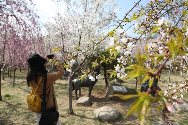 c32ca264d96b47b48ae936661f5ba27c.jpg 330a4898.jpg