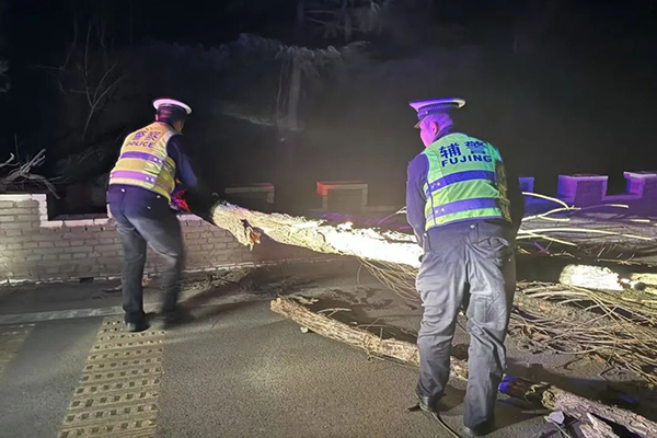 db015145e23b4636983ea4e53db6f976.jpg 3.jpg