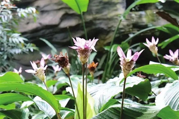 fb1fb857dc7345e3bbf91db2d798c9ae.jpg 11.jpg