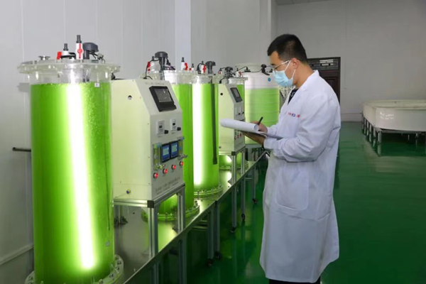 470c142fe0674eed8b69e8bbead5f183.png 微信图片_20220609095916.png