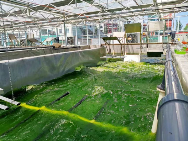 84798b991b4a4506b4e4dc271da49551.png 微信图片_20220609095920.png