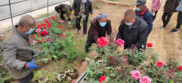 1b02c10137954850b9791fbdccfce3bc.jpg 微信图片_20220510110027.jpg