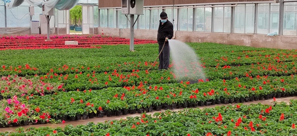 e4a2ae7d9ac6415fa988ae4896bec5e5.jpg 微信图片_20220510110018.jpg