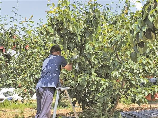 9423f6b389dc43a7a227e972b6f85b62.jpg 微信图片_20220714150005.jpg