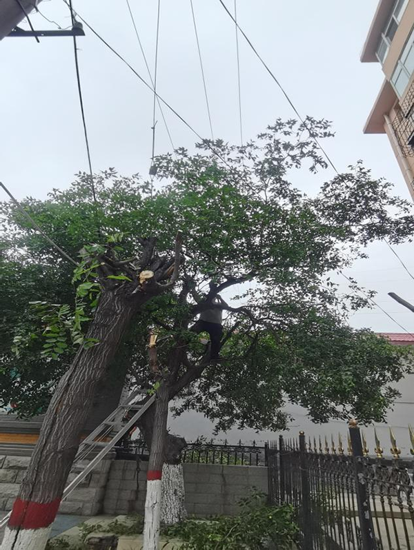 40be1f6338324c21bb84a5c306aee7ca.png 图片6 拷贝.png