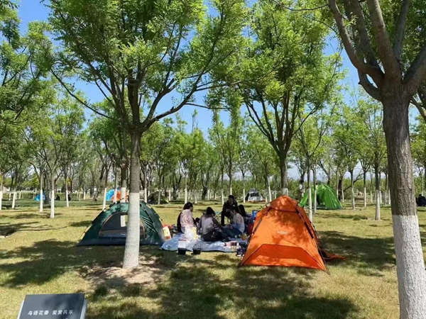 8aff27a2022c4dd49c442c300c00ec31.jpg 微信图片_20220520170849.jpg