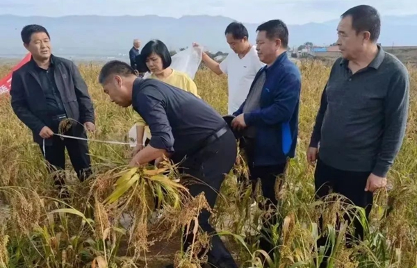 8d34f9bf4a434fac8275cc4c23587500.jpg 微信图片_20220623101048.jpg