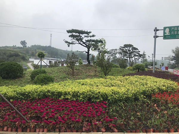 22bd9a4025a74c2a8408b2a9f335ac3f.png 图片3 拷贝.png