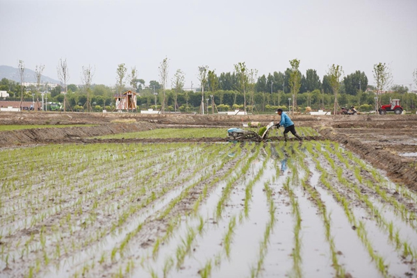 8be811566c07417e802eec5cc2a54c6e.jpg 微信图片_20220527115452.jpg