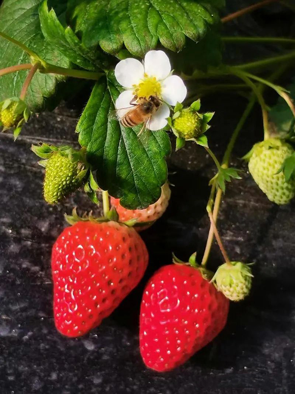 121847eec32048ee8dabe883e926d6a8.jpg 2.jpg