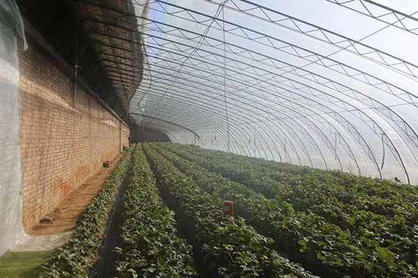 1f5109d4507a4864851116771778ae1d.jpg 1.jpg