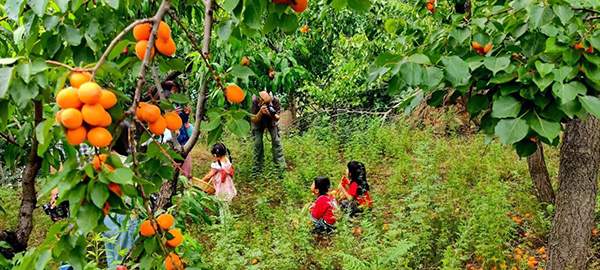 985725ab64414d12a5313166b730401c.png 33.png