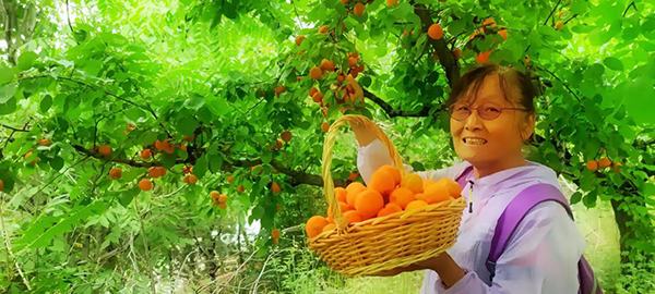 d4259fc2799947c382a38e7bc3e9fc78.png 35.png