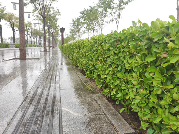 3893a51272794f7493e65f966a9882ad.jpg 3.jpg