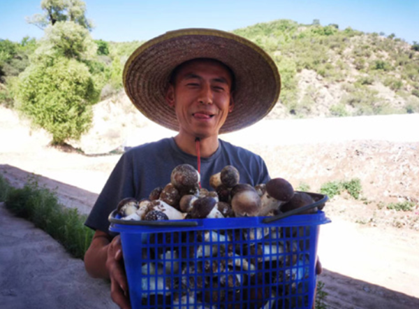 69836af9755c49bb964bfa39f4653820.png 123.png