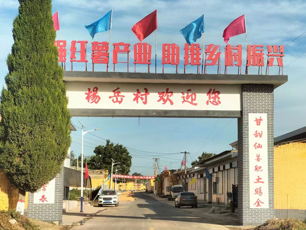 419498c72c8d40878b54e259183d8a80.png 图片6.png