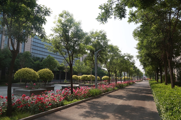 4572c4e8f4164907b63dc50805a1238b.jpg 微信图片_20221025111000.jpg