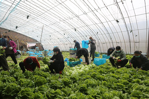 e06621bb4ea145f8988650a6b4e85a2a.jpg 2.jpg